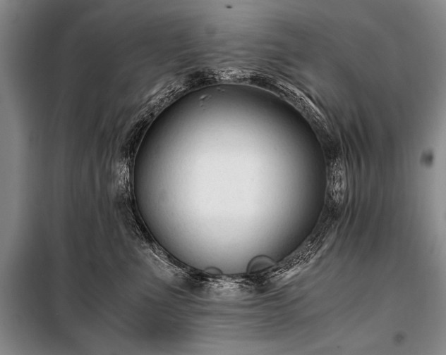 X0000100940523200807011248