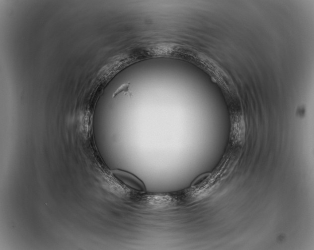 X0000100940525200807011248