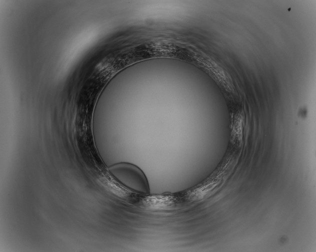 X0000100940526200807011248