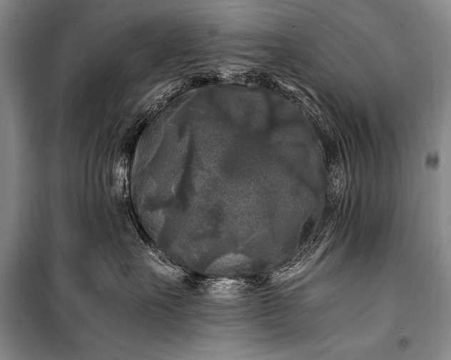 X0000100940527200807011248