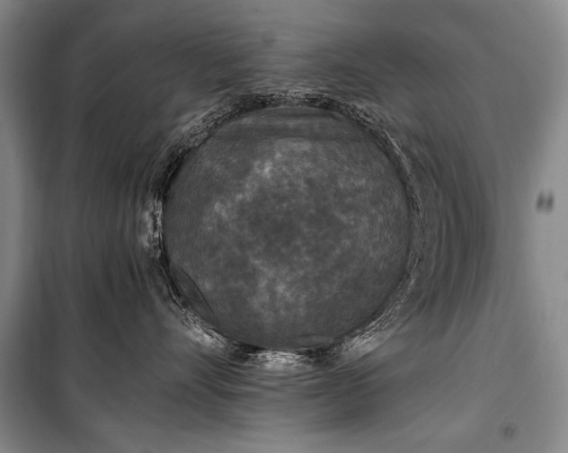 X0000100940528200807011248