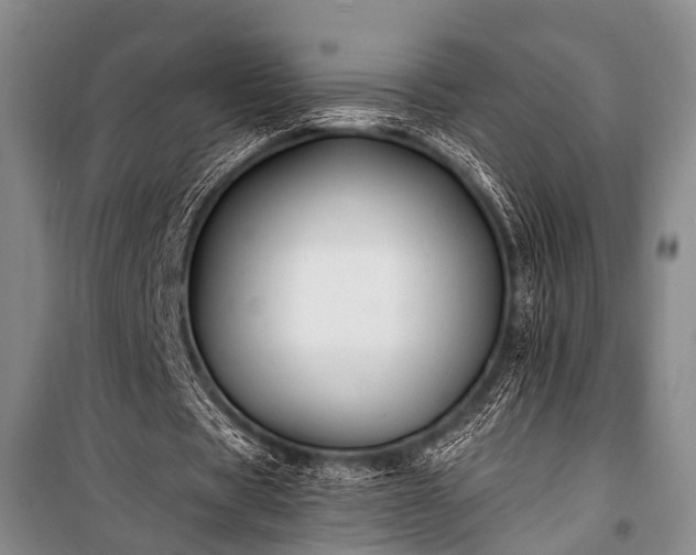 X0000100940529200807011247