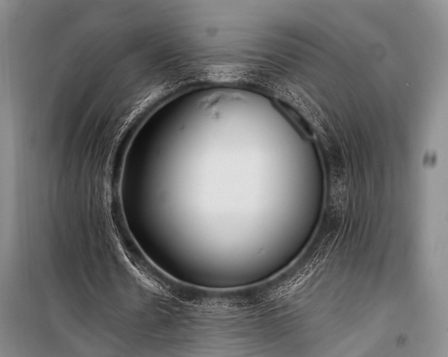 X0000100940530200807011247