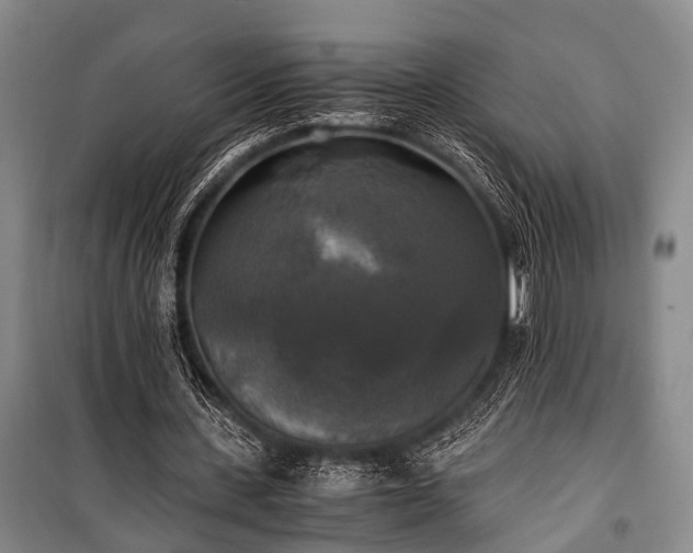 X0000100940531200807011247