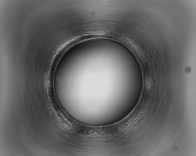 X0000100940532200807011247