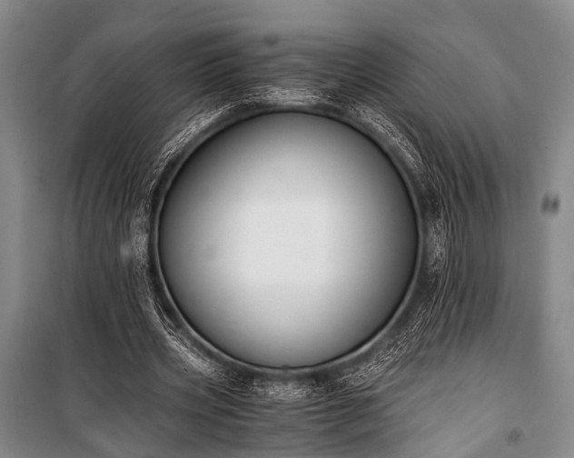 X0000100940533200807011247