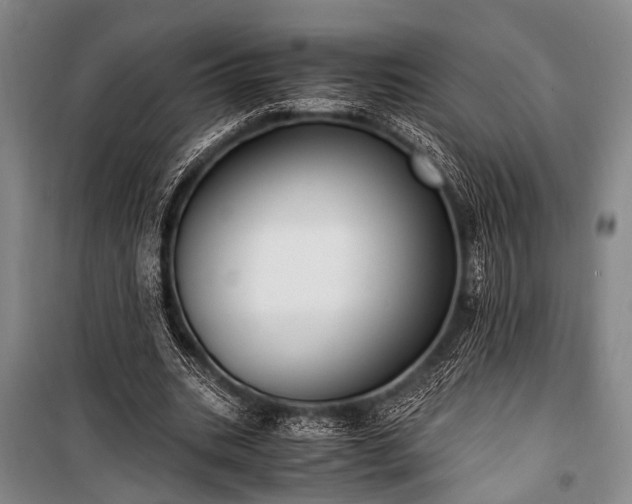 X0000100940535200807011247