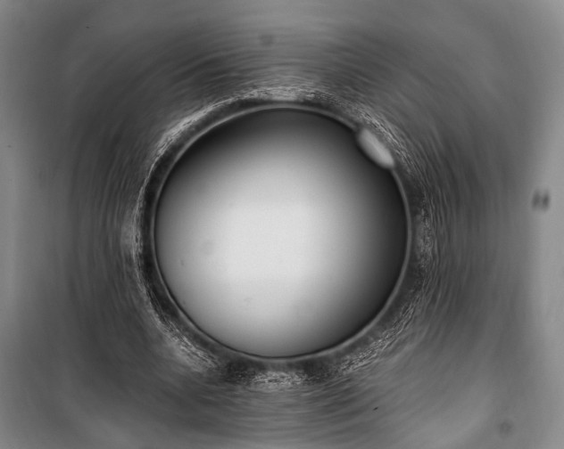 X0000100940536200807011247