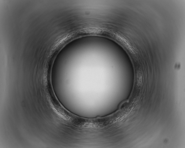 X0000100940538200807011247