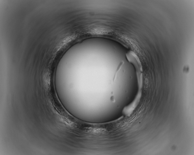 X0000100940539200807011247