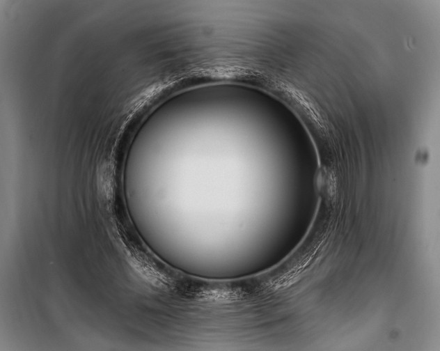 X0000100940540200807011247