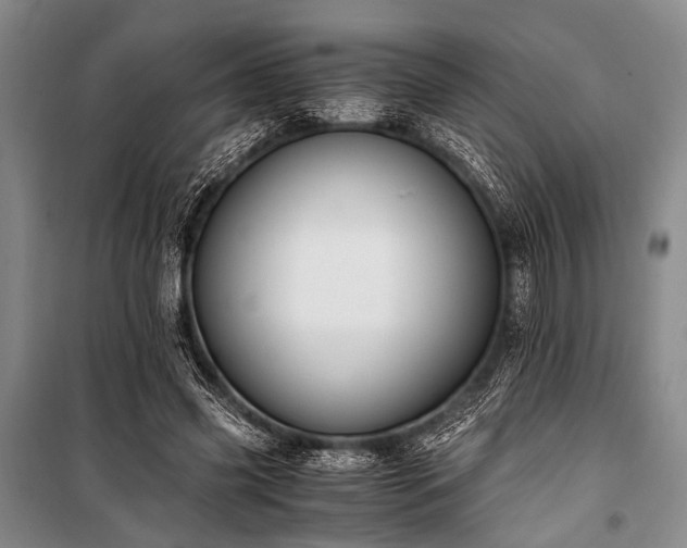 X0000100940541200807011247