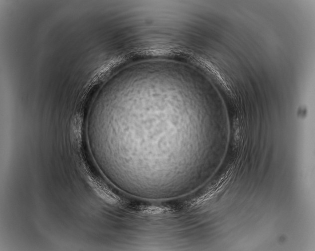 X0000100940542200807011247