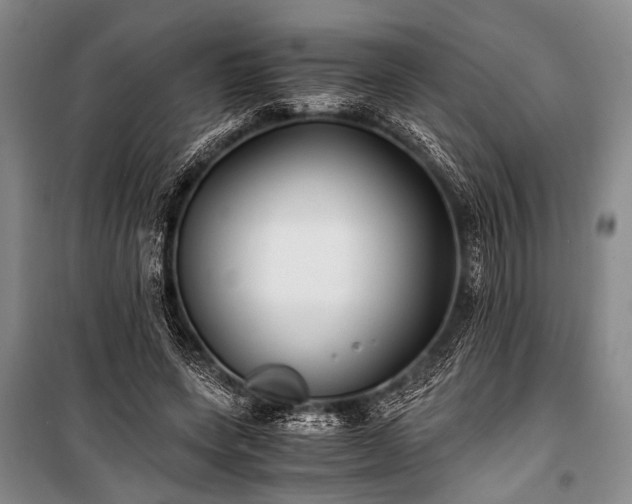 X0000100940543200807011247