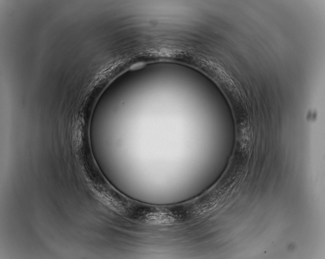 X0000100940544200807011247