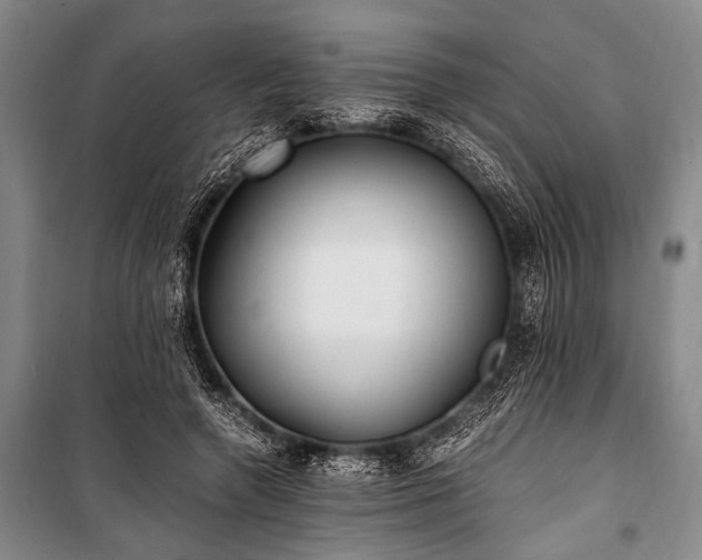 X0000100940546200807011247