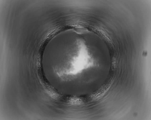 X0000100940547200807011247