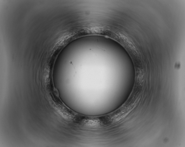 X0000100940548200807011247