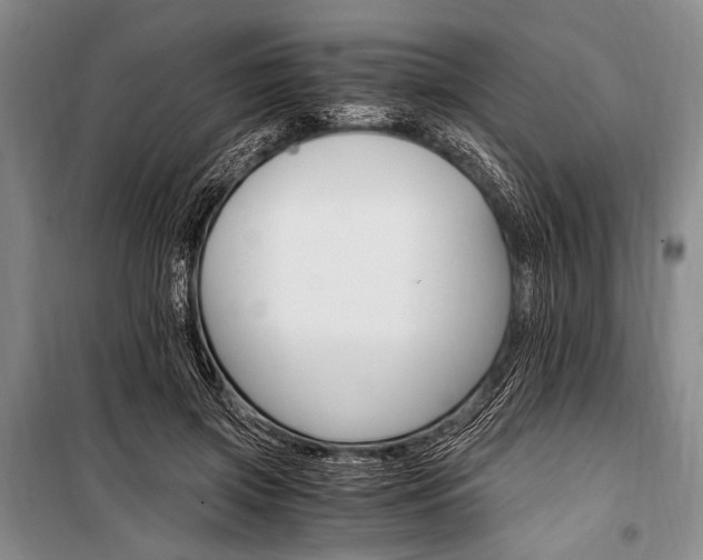 X0000100940549200807011247