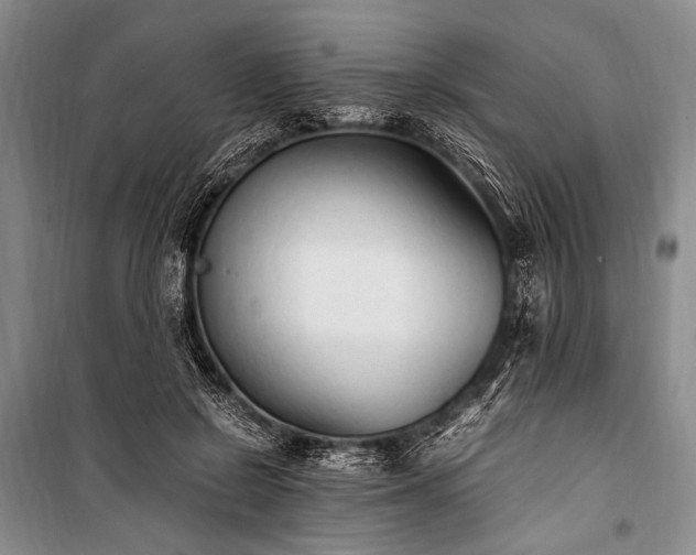 X0000100940550200807011247