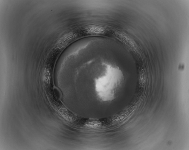 X0000100940551200807011247