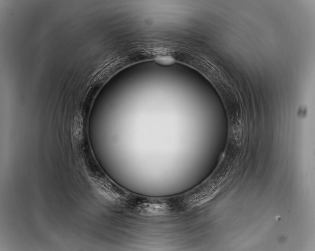 X0000100940552200807011247