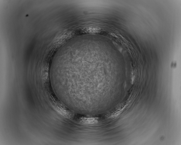 X0000100940553200807011247