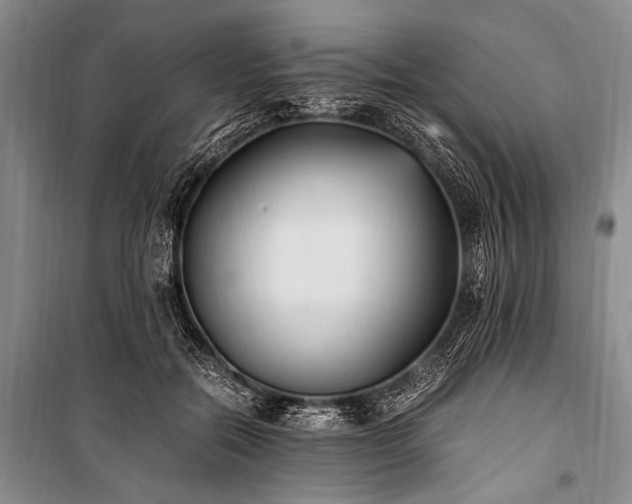 X0000100940554200807011247