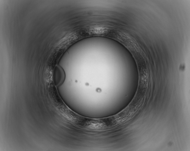 X0000100940555200807011247