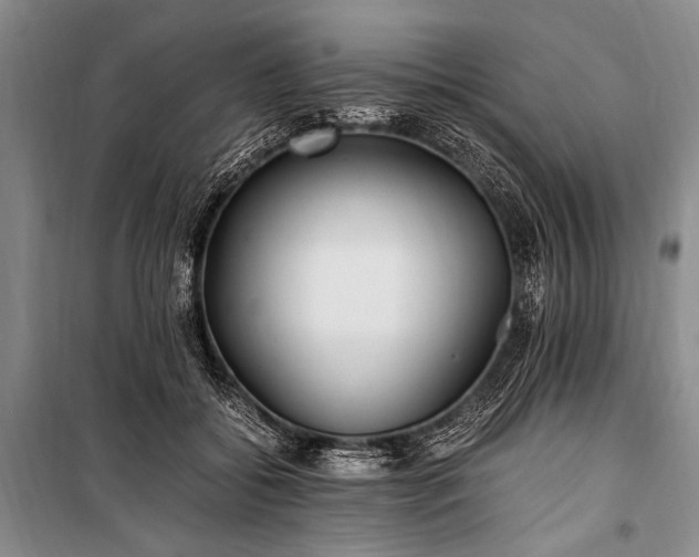 X0000100940556200807011247