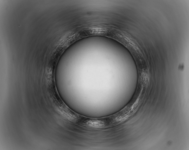 X0000100940557200807011247