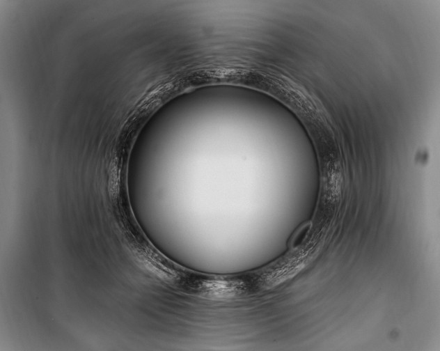 X0000100940558200807011247