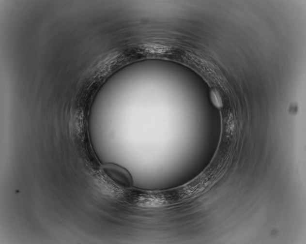 X0000100940559200807011247