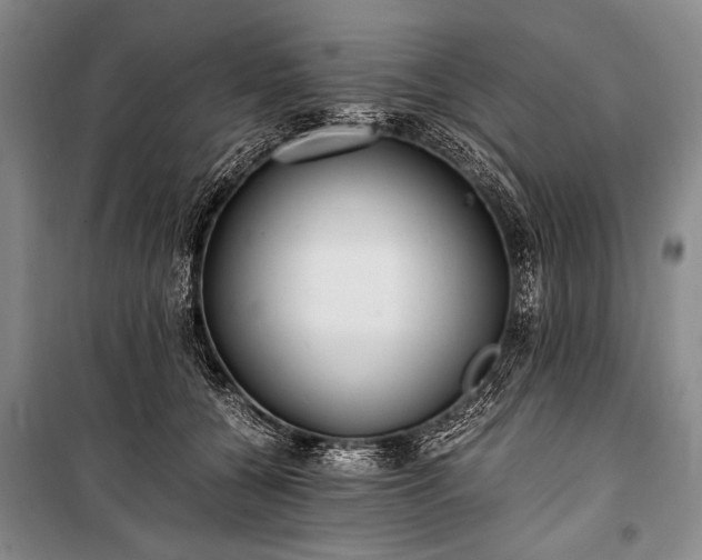 X0000100940560200807011247