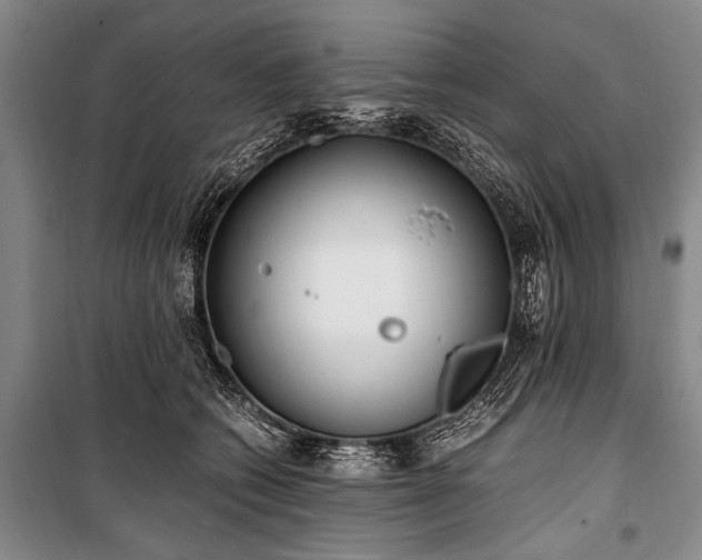 X0000100940562200807011247