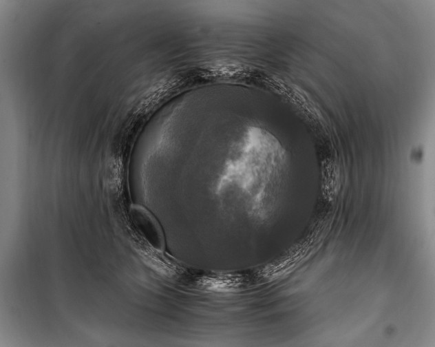 X0000100940563200807011248