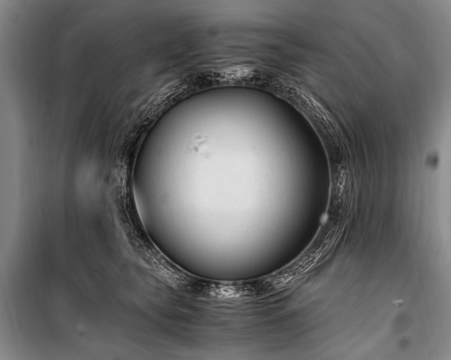 X0000100940565200807011248