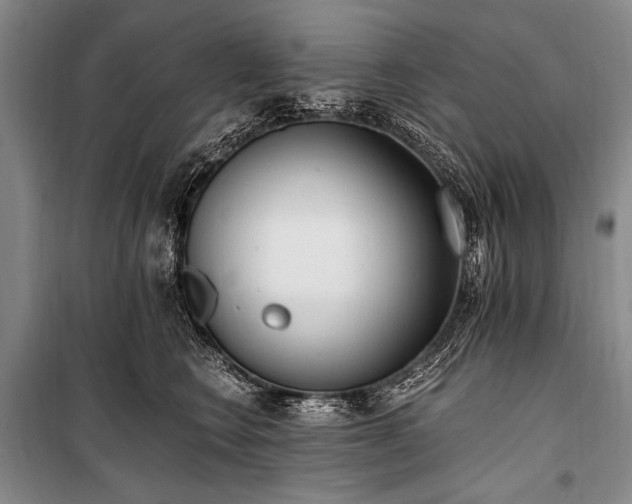 X0000100940566200807011248