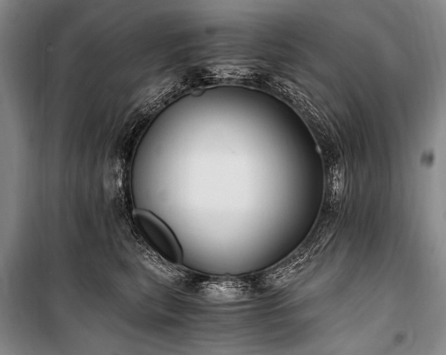 X0000100940567200807011248