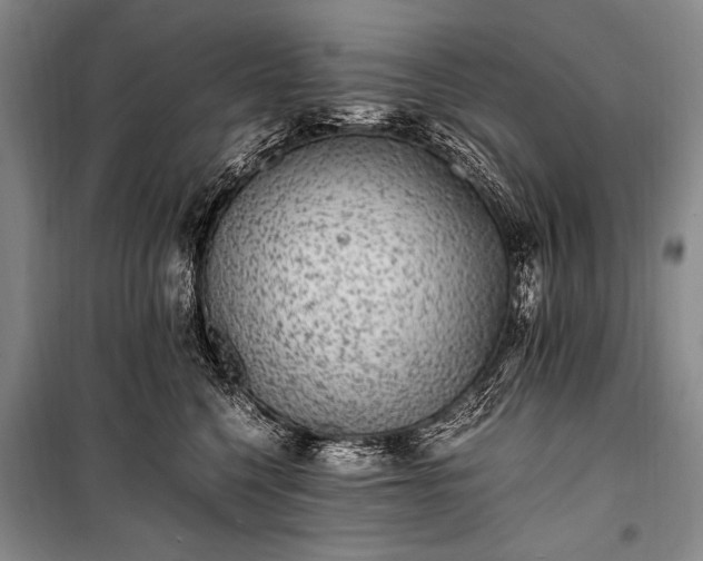 X0000100940568200807011248