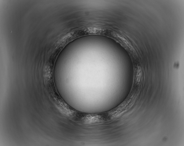 X0000100940569200807011248