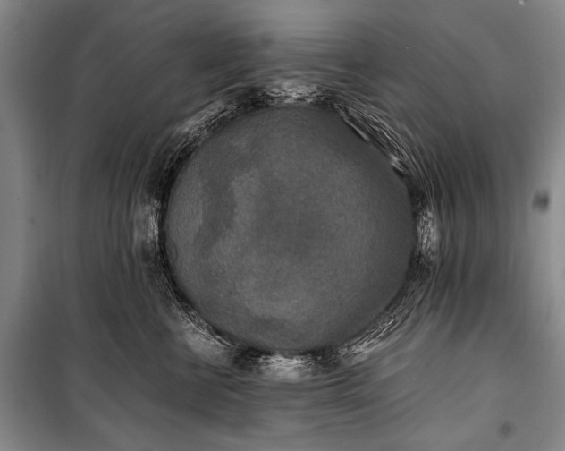 X0000100940570200807011248