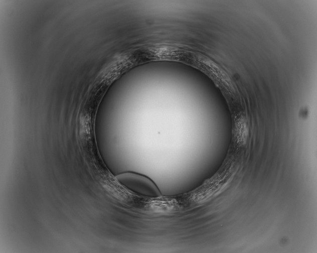 X0000100940571200807011248