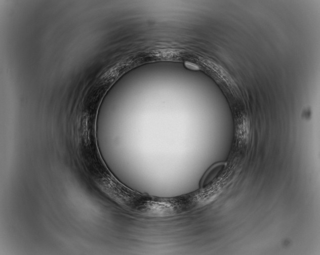 X0000100940572200807011248