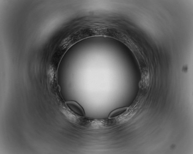 X0000100940574200807011248