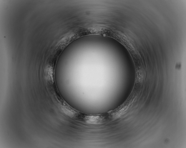 X0000100940575200807011248