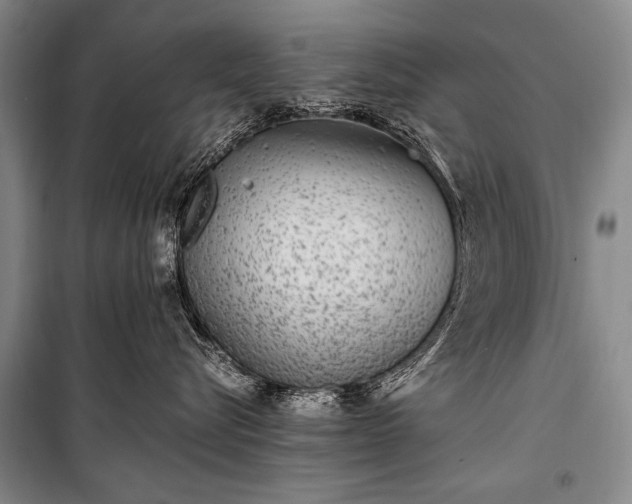 X0000100940576200807011248