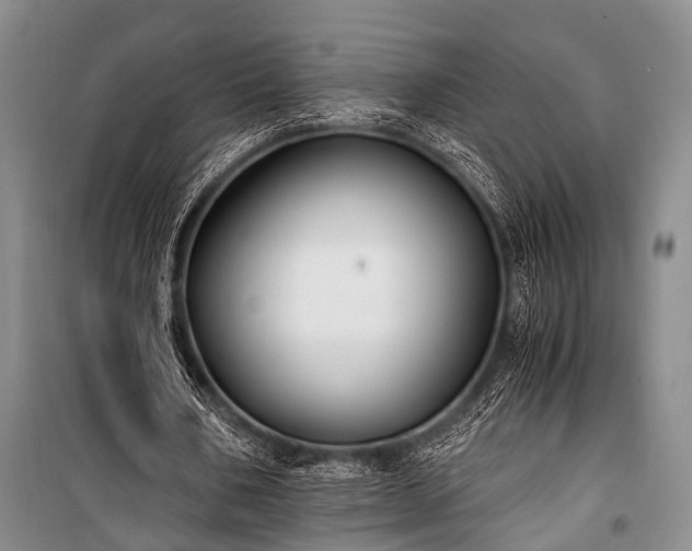 X0000100940578200807011247