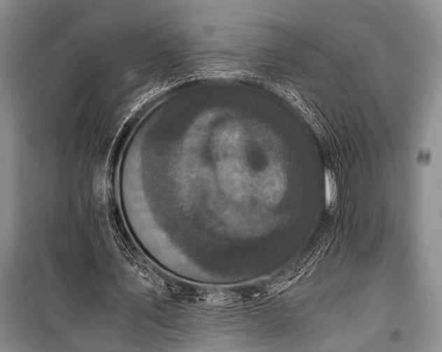 X0000100940579200807011247