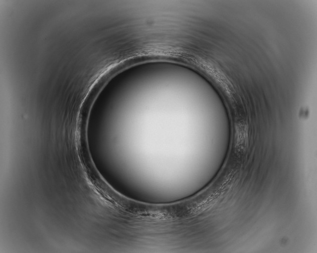 X0000100940580200807011247